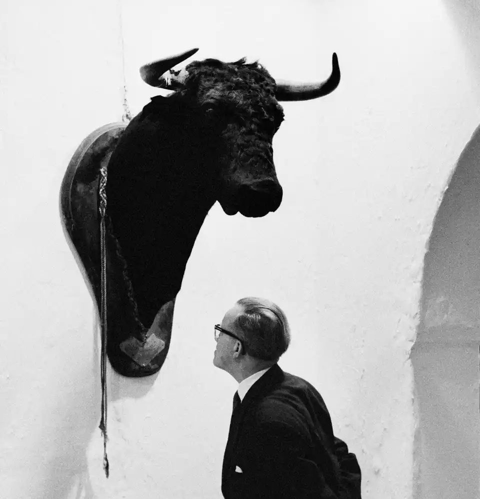 Toro y figura contemplándolo
